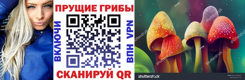 omg как войти Лыткарино Галлюциногенные грибы мухоморы как найти закладки